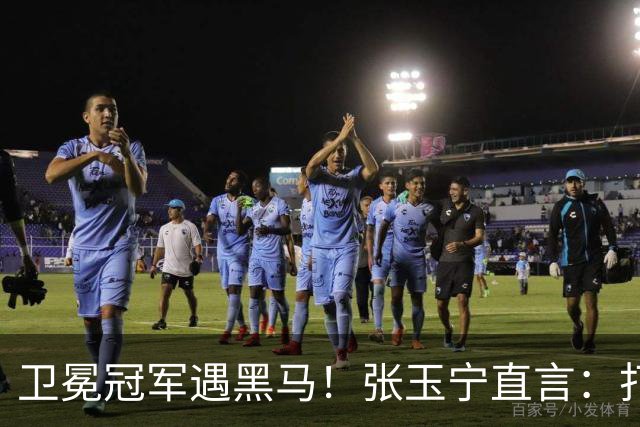 卫冕冠军遇黑马！张玉宁直言：打低级别队伍，压力反而更大