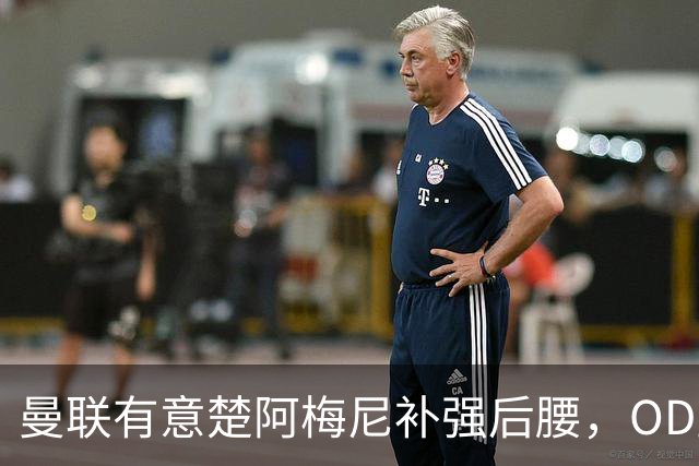 曼联有意楚阿梅尼补强后腰，OD皇马态度强硬，穆里尼奥无意放人